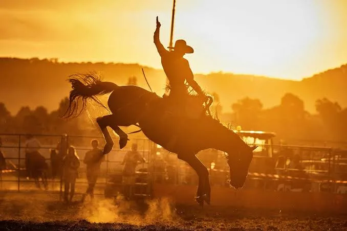 Rodeo