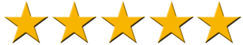 All 5 Star Review Computer Support