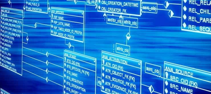 Managed Cybersecurity & IT Protection